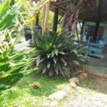 camping recanto renascer-morretes-pr-12