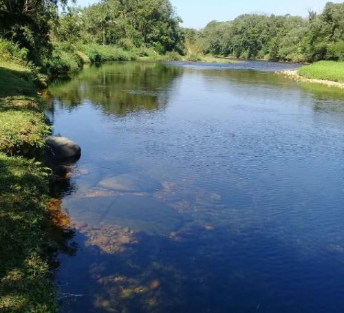 camping recanto renascer-morretes-pr-1