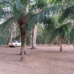 Camping Baía-aquidauana-ba-2