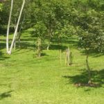 Camping Beira Rio – Sana-rj-30