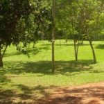 Camping Beira Rio – Sana-rj-32