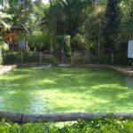 Camping Cascata Encantada-paulo lopes-sc-10