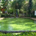 Camping Cascata Encantada-paulo lopes-sc-7