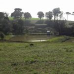 Camping Hohlrieder-Treze Tilias-SC-3