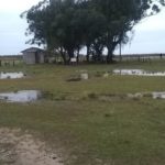Camping Lagoa do Casamento-Viamão-RS-4