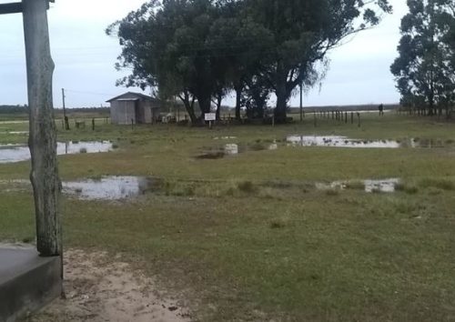 Camping Lagoa do Casamento-Viamão-RS-4