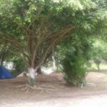 Camping Moto Clube – Caldo de Cana Jane-camboriú-sc-9