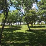 Camping Parque Municipal Bortolon-marau-rs-7