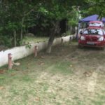 Camping Restaurante Araçari-peruíbe-sp-3