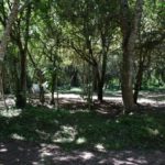 Camping da Ilha-Cristal-RS-8