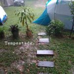 Roots Camping Sana-rj-3