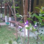 Roots Camping Sana-rj-4