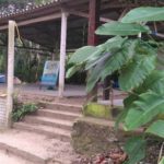 Surf Camping Praínha Branca-guarujá-sp-4