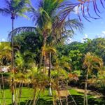 aabb salvador