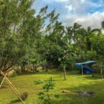 camping Canto para dois-cananeia-sp-5