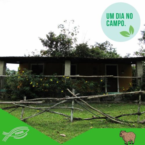 camping Itamatamirim Parque-Vitória de Santo Antão-pe-4