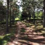 camping chácara dos pinus-pelotas-RS-2