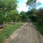 camping ola brasil-chuí-rs-8