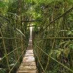 camping parque das neblinas-mogi das cruzes-sp-1