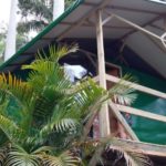 camping pedras altas-naturista-palhoça-SC-2