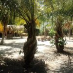 camping praia do forte-mata de são joão-ba-1