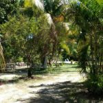 camping praia do forte-mata de são joão-ba-15