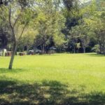camping prainha-picada café-rs-4