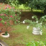camping recanto da Elô-Jaguari-MS-10