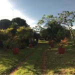 camping recanto da Elô-Jaguari-MS-9