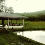 camping selvagem pesqueiro ponte velha-tijucas do sul-pr-4