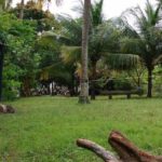 sarau surf camping-rio tinto-pb-2