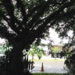 Apoio RV – Posto BG Norte – Itaquaquecetuba