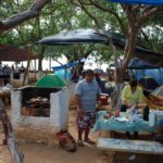 Camping Balneário Alemoa-siqueira campos-pr