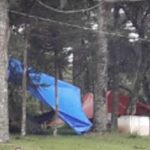 Camping Campo das Araucárias-Vacaria-RS-4