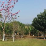 Camping Club Bairro-nova brasilandia do oeste-ro