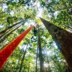 Camping Ecoforest Adventure-Manaus-AM-3