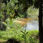 Camping Ecoforest Adventure-Manaus-AM-4