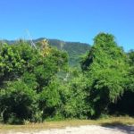 Camping Família do Altivo-ubatuba-sp-6