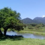 Camping Pesque Pague Artmann-Joinville-SC-2