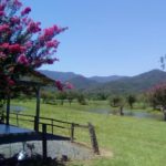 Camping Pesque Pague Artmann-Joinville-SC-3