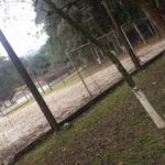 Camping Sítio Recanto Vô Nereu-Joinville-SC-6