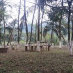 Camping Sítio Recanto Vô Nereu-Joinville-SC-7