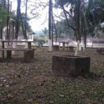 Camping Sítio Recanto Vô Nereu-Joinville-SC-8