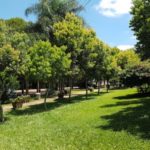 Camping Termas São João-São João do Oeste-SC-4