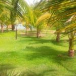 Camping e Hostel Kapytyana-Boa Vista-RR-1