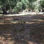 camping cachoeira do urubu-primavera-PE-5