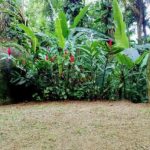 camping da mata-paraty-rj-2