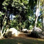 camping da mata-paraty-rj-4
