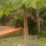 camping do mago-tamandaré-PE-3