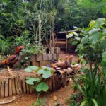 camping sitio simple life-itamambuca-ubatuba-sp-2